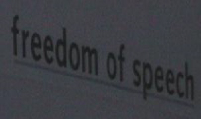 a_Freedom_of_speech_1_[1]